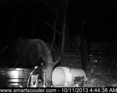 BedandBreakfast-NewFeeder_10112013_5813453.jpg BedandBreakfast-NewFeeder_10112013_5813453.jpg